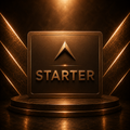 STARTER MENTORING