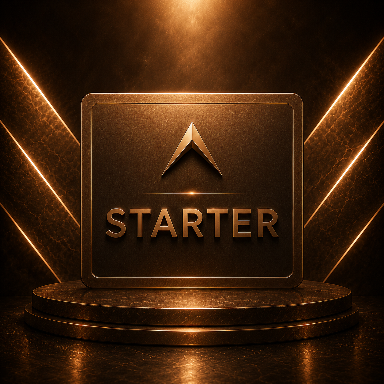 STARTER MENTORING